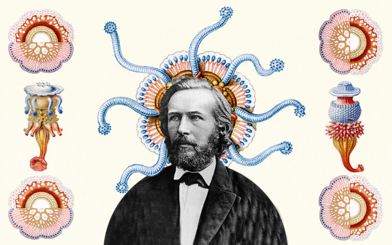 The Biodiversity of Ernst Haeckel